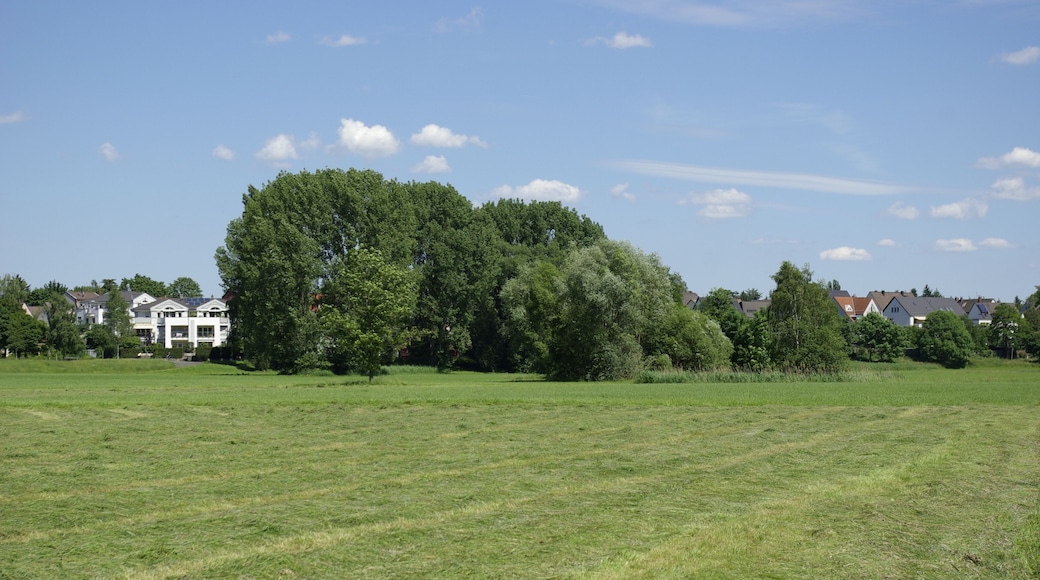 Blick über das Pegnitztal in Fürth. Das gesamte Pegnitztal in Fürth, einschließlich Stadtpark und Kleine Mainau, ist Teil des Landschaftsschutzgebietes Rednitz-, Pegnitz- und Regnitztalsystem.