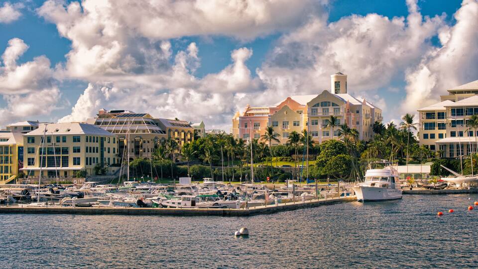 A marina with boats, a large building with a tower, and palm trees.