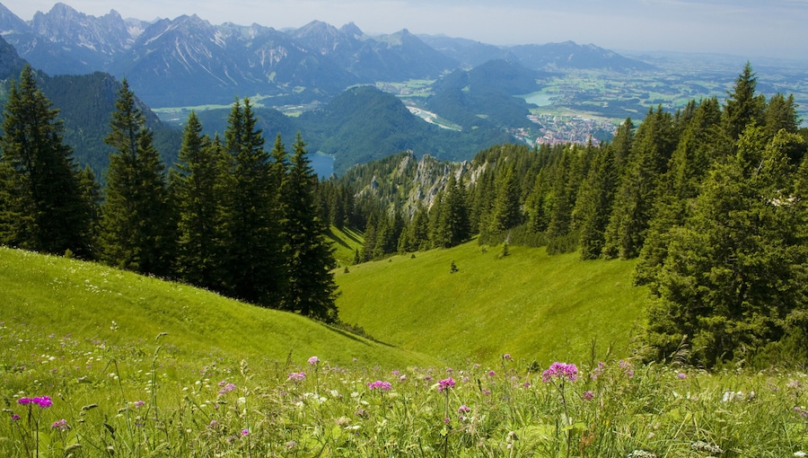 Beautiful Alpine landscape during the summer in Fuessen, South Germany.