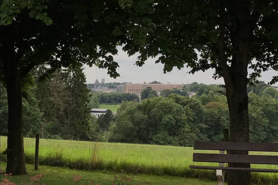 Un parc avec un banc, des arbres et une vue lointaine sur un ensemble de bâtiments.