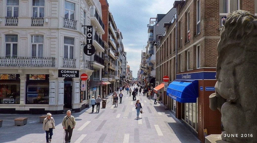 The pedestrian mall in Blankenberge, Belgium, a seaside resort with sandy beaches and a harbour with fresh seafood sold nearby. All within walking distance from the train station for a day trip. We had good fish n chips at a restaurant along the ped mall. (June 2016)