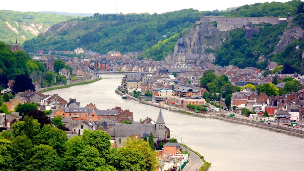 A river flowing through a town with historic buildings and a castle on a hill.