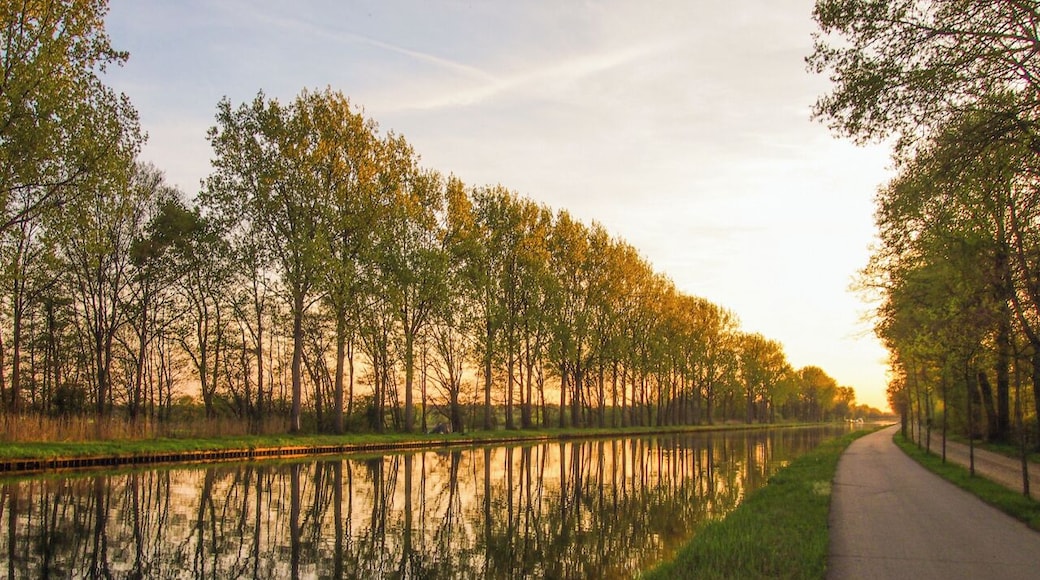 This picturesque tree-lined canal in the Belgian province of Antwerp is a wonderful place for bike rides, walks and fishing.
#goldenhour