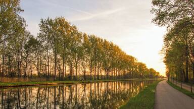 This picturesque tree-lined canal in the Belgian province of Antwerp is a wonderful place for bike rides, walks and fishing.
#goldenhour