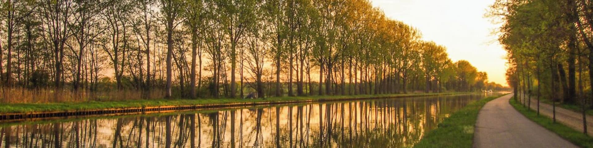 This picturesque tree-lined canal in the Belgian province of Antwerp is a wonderful place for bike rides, walks and fishing.
#goldenhour