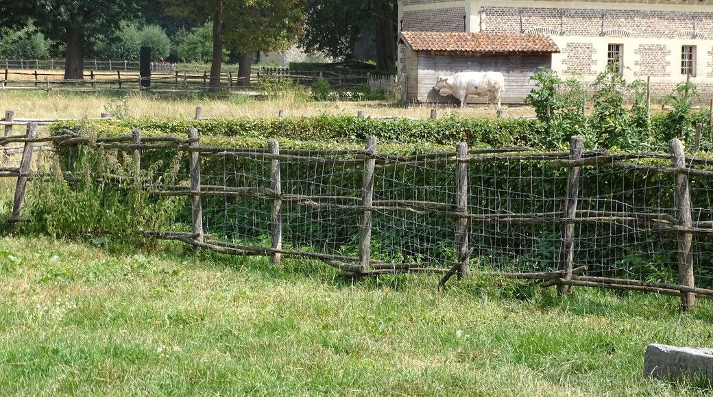 Mooi park dat Bokrijk