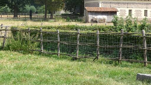 Mooi park dat Bokrijk