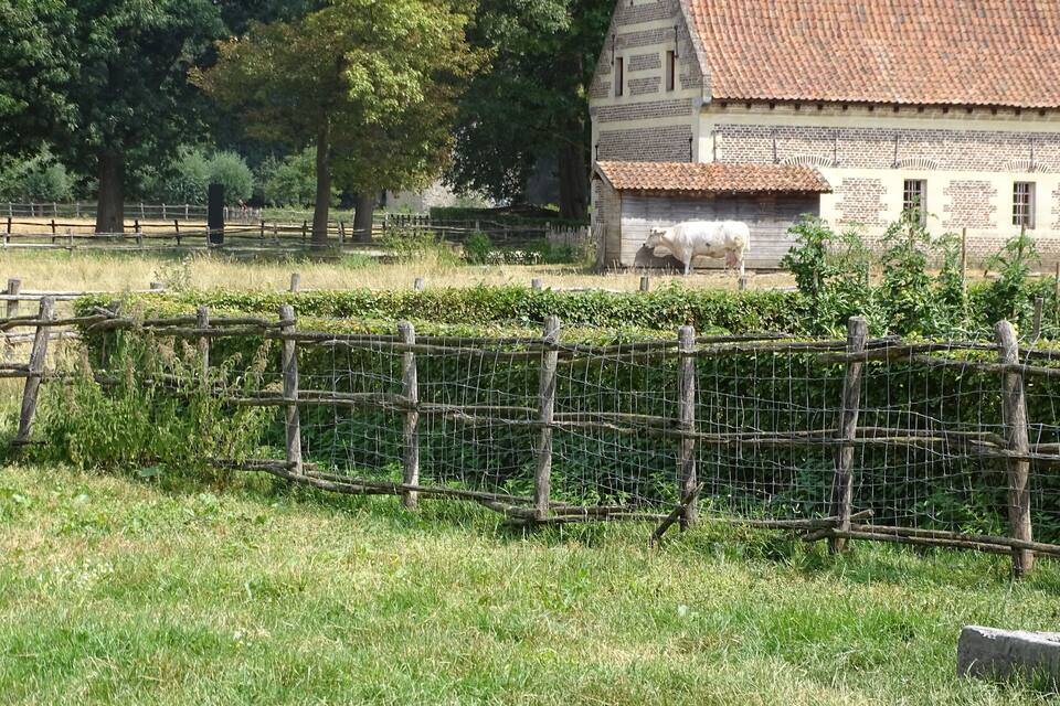 A rural landscape with a wooden house, a fenced field, and a tree.
