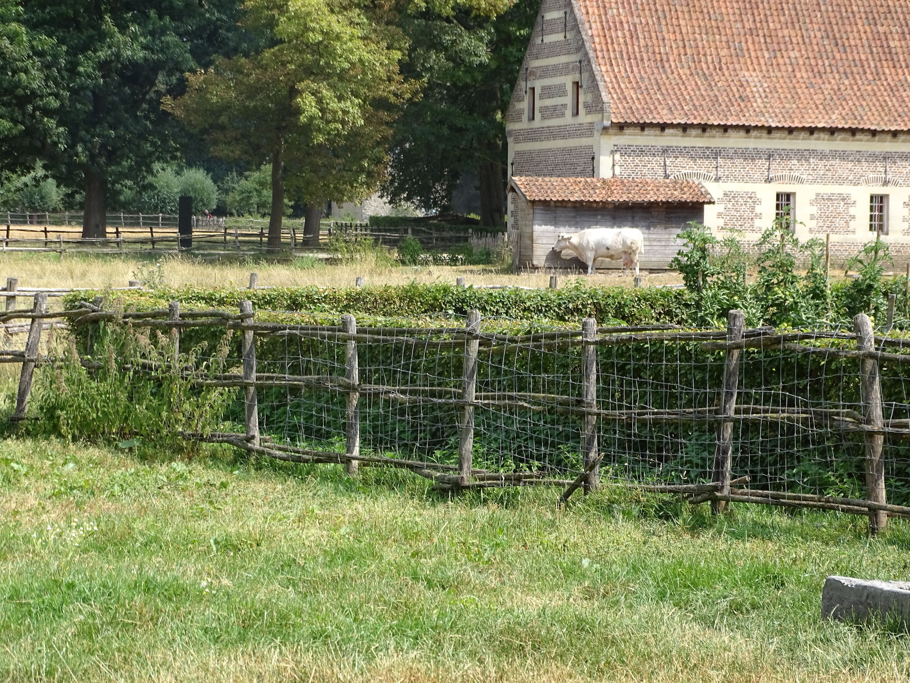 A rural landscape with a wooden house, a fenced field, and a tree.