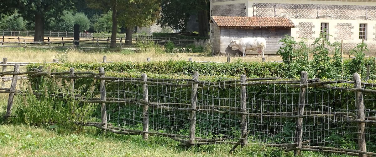 A rural landscape with a wooden house, a fenced field, and a tree.