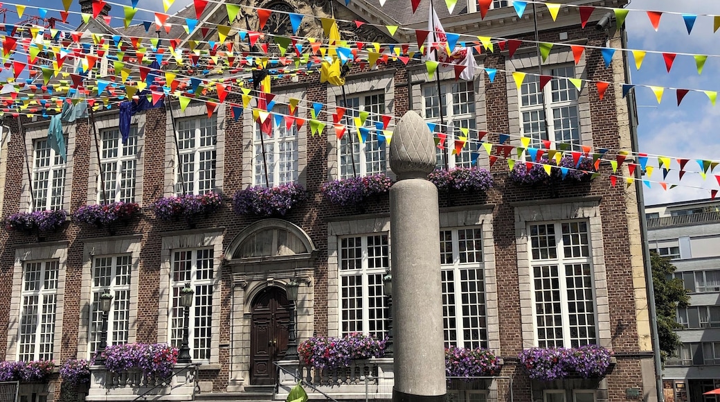 Hasselt, Belgium city hall.