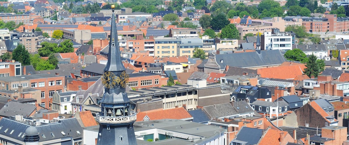 view over hasselt, limburg, belgium, with cathedral of saint quintinus in front