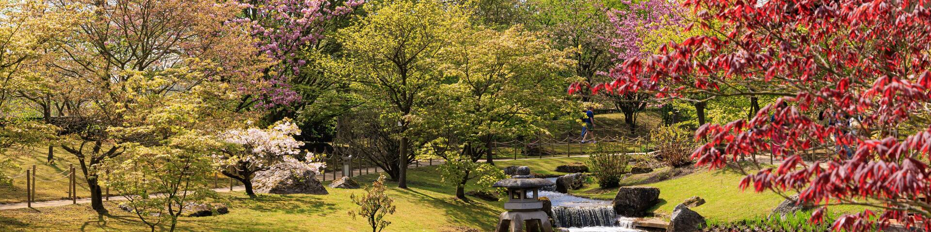 Japanese garden in Hasselt Flemisch region in Belgium