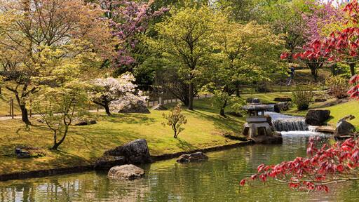 Japanese garden in Hasselt Flemisch region in Belgium
