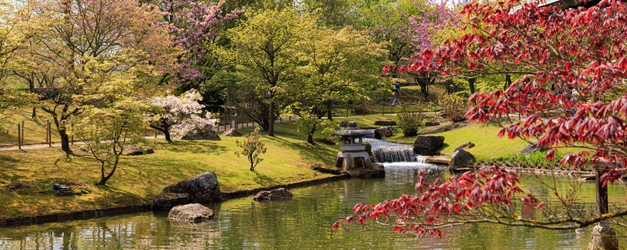 Japanese garden in Hasselt Flemisch region in Belgium