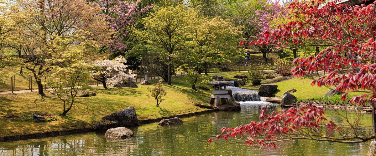 Japanese garden in Hasselt Flemisch region in Belgium