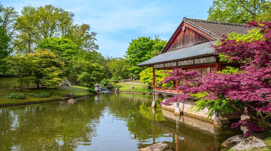 Ein traditionelles japanisches Gebäude an einem Teich mit Koi-Karpfen, umgeben von üppigem Grün und leuchtend rosa Blüten.
