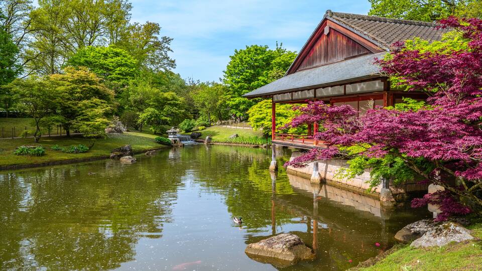 A traditional Japanese building by a pond with koi fish, surrounded by lush greenery and vibrant pink flowers.