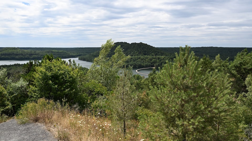 A river winding through a forested valley with a hill in the background.