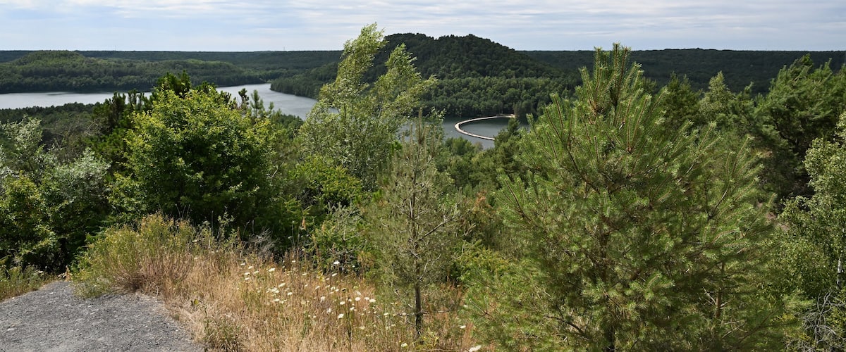 A river winding through a forested valley with a hill in the background.