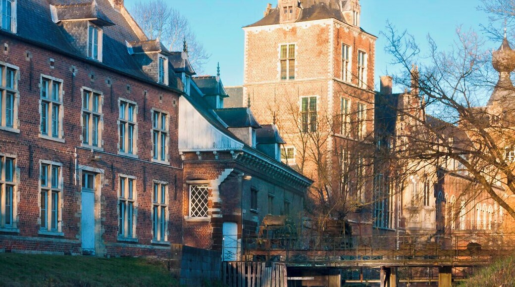 In Winter, the low afternoon sun lights this castle long the river Dijle. Great place to test my first 10 stop filter.