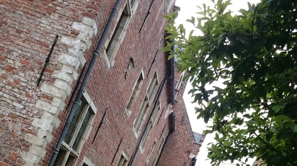 ...it is always a nice walk around the streets of Begijnhof In Leuven, Belgium