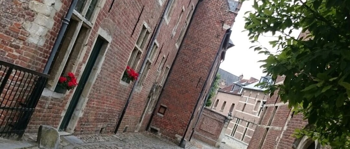 ...it is always a nice walk around the streets of Begijnhof In Leuven, Belgium