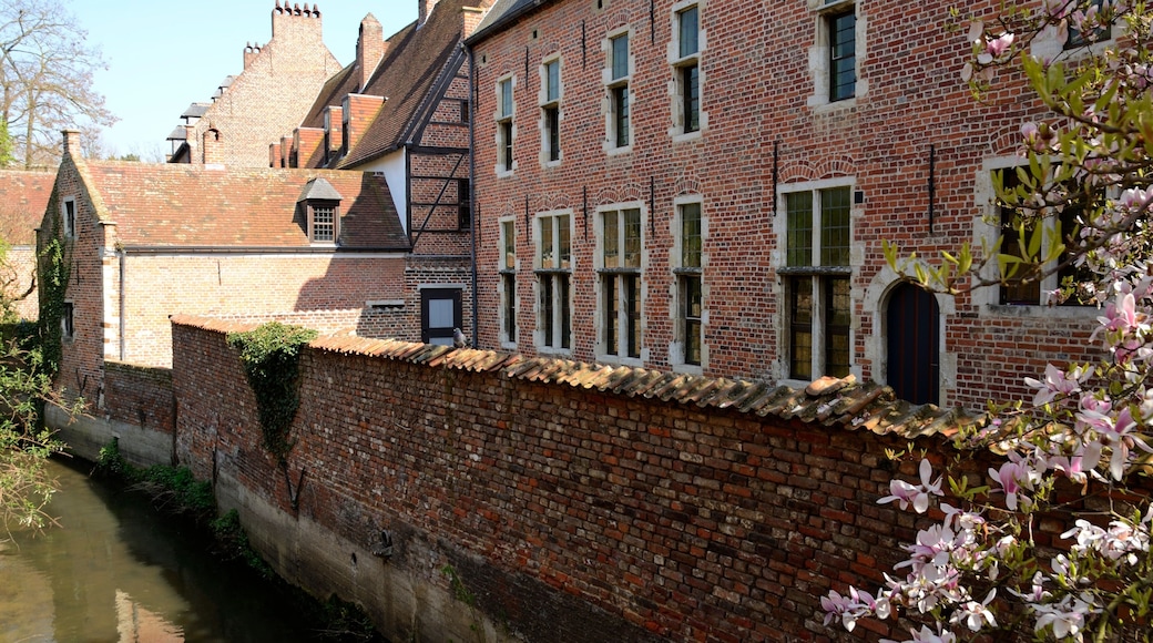 Louvain