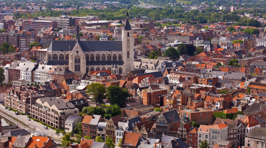 View of the city of Malines (Mechelen) from height of bird's flight, Belgium
