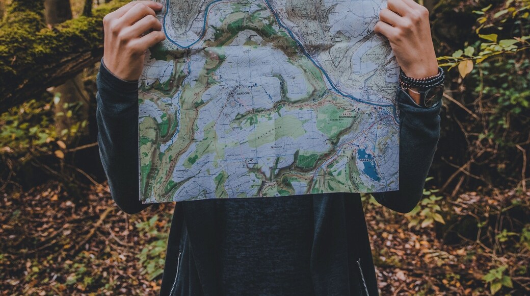 Explore and you will find!
#BvSExplore #mvmt #ad #forest #belgium