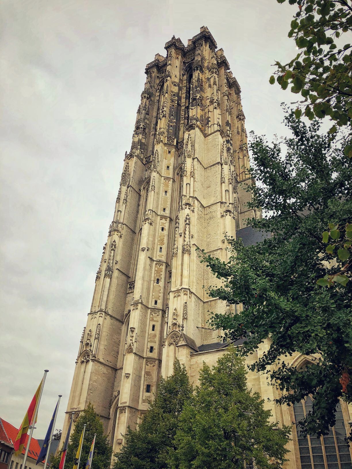 Climb Saint Rumbold's Tower to get the best views of Mechelen. The top is 97 metres high. Expect approximately an hour worth of time for your visit. 