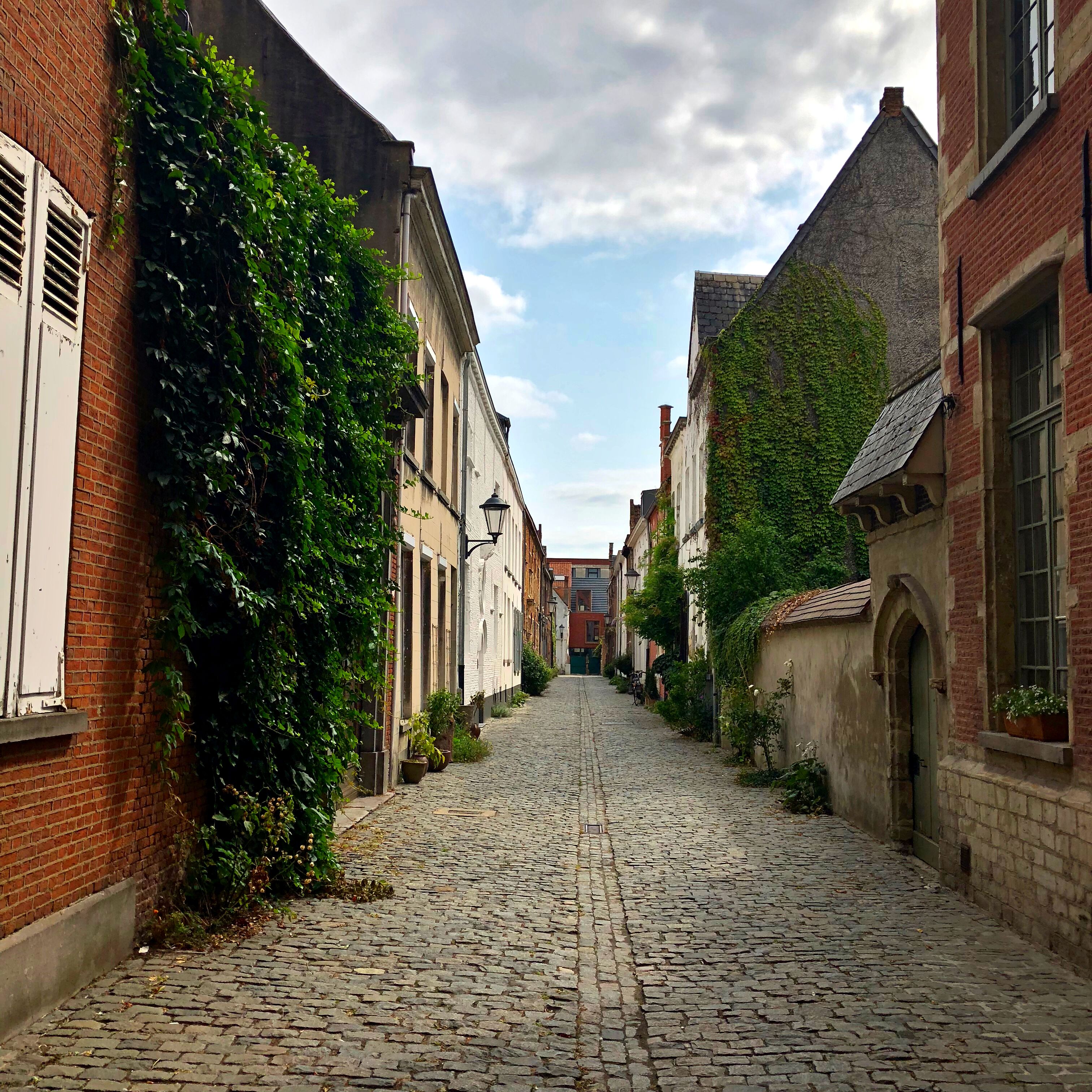 A cobblestone street flanked by historic buildings with ivy-covered walls and traditional architecture.
