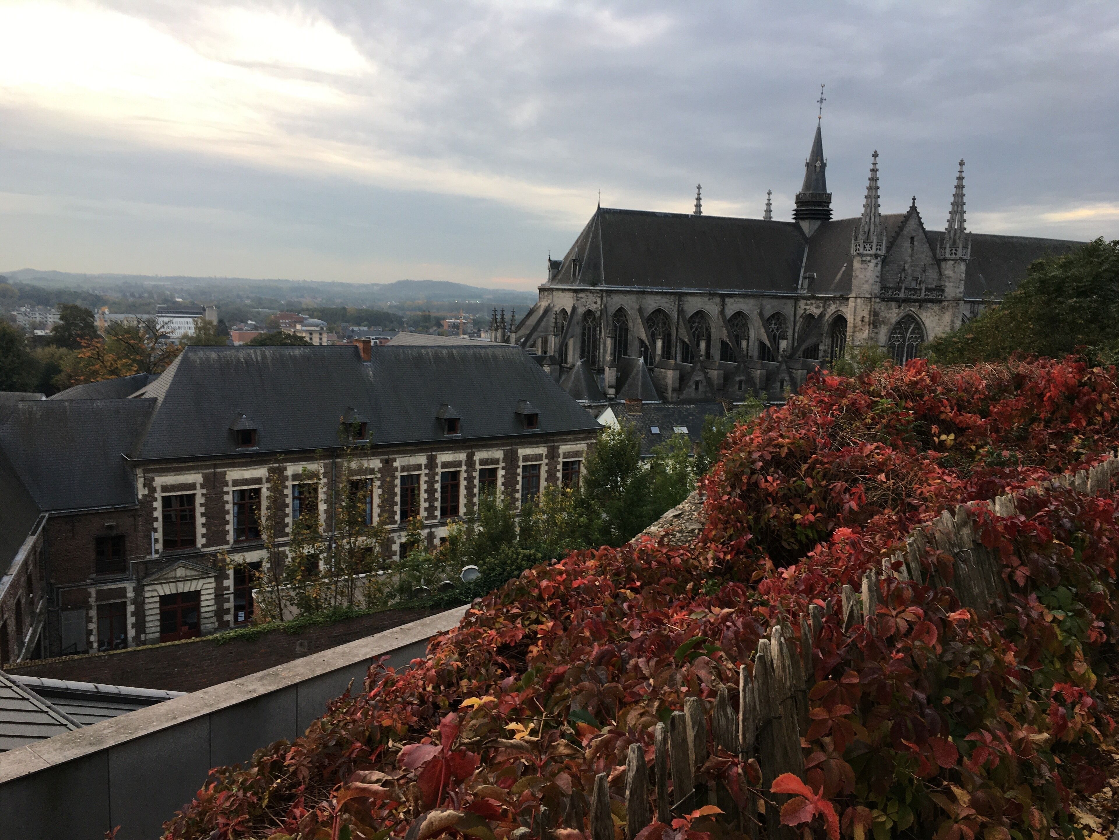View from mons belfry 
Belgium 
Capital of the famous doudou festival