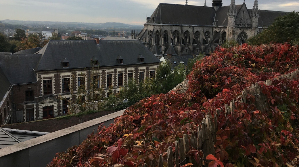 View from mons belfry
Belgium
Capital of the famous doudou festival