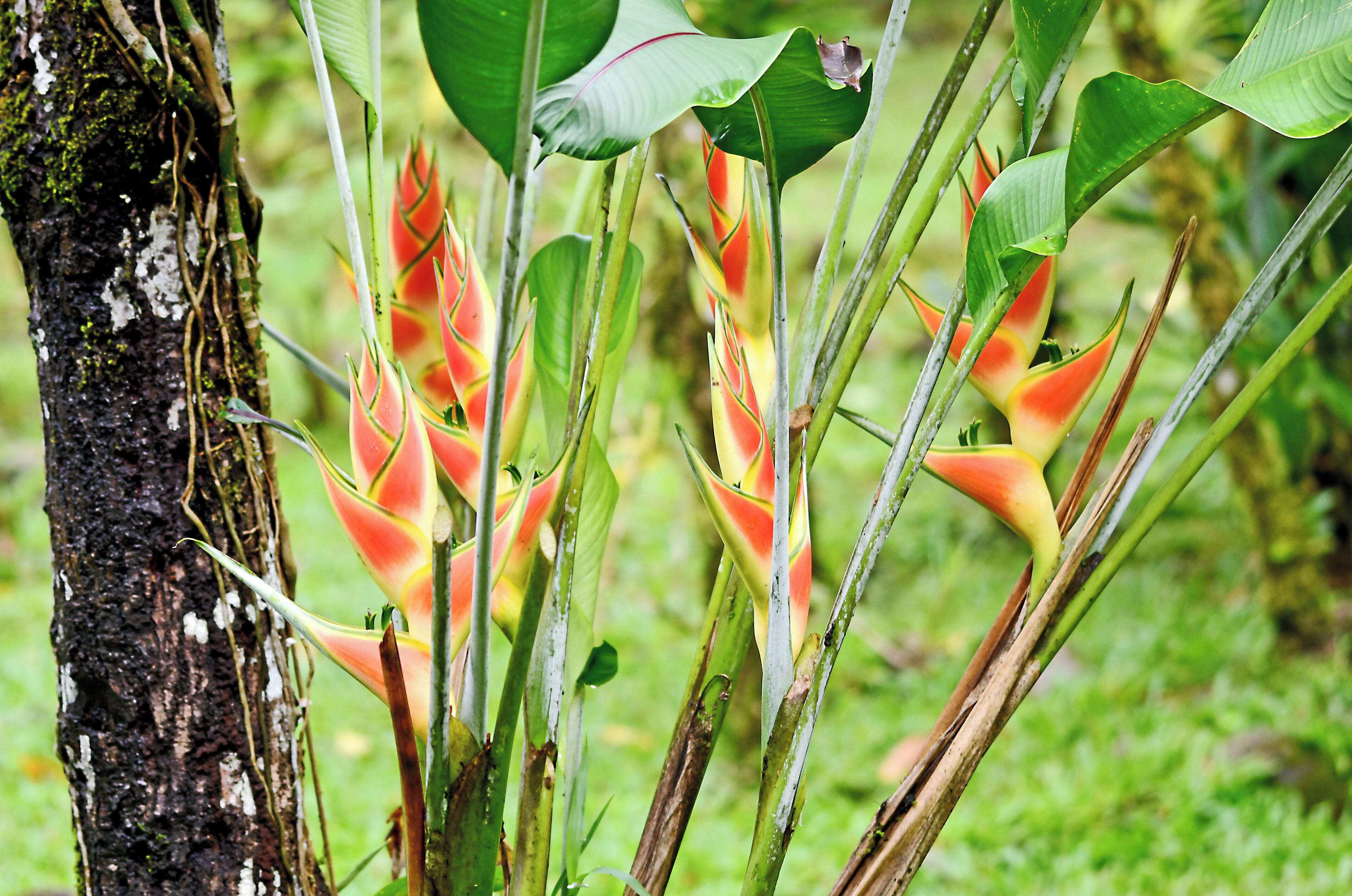 Flora abounds. Hard to take it all in!