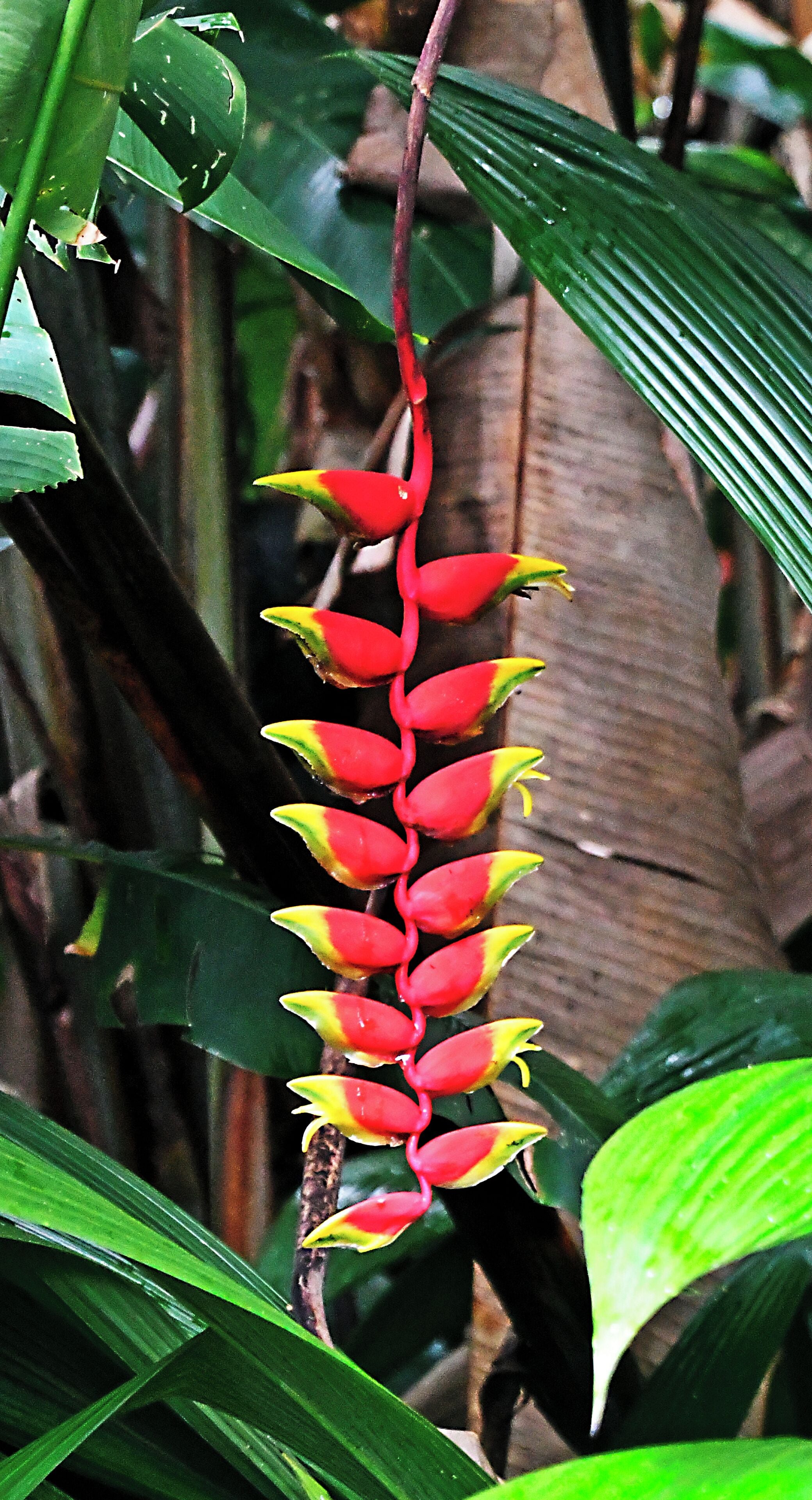 Flora abounds. Hard to take it all in!