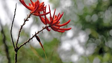 Flora abounds. Hard to take it all in!