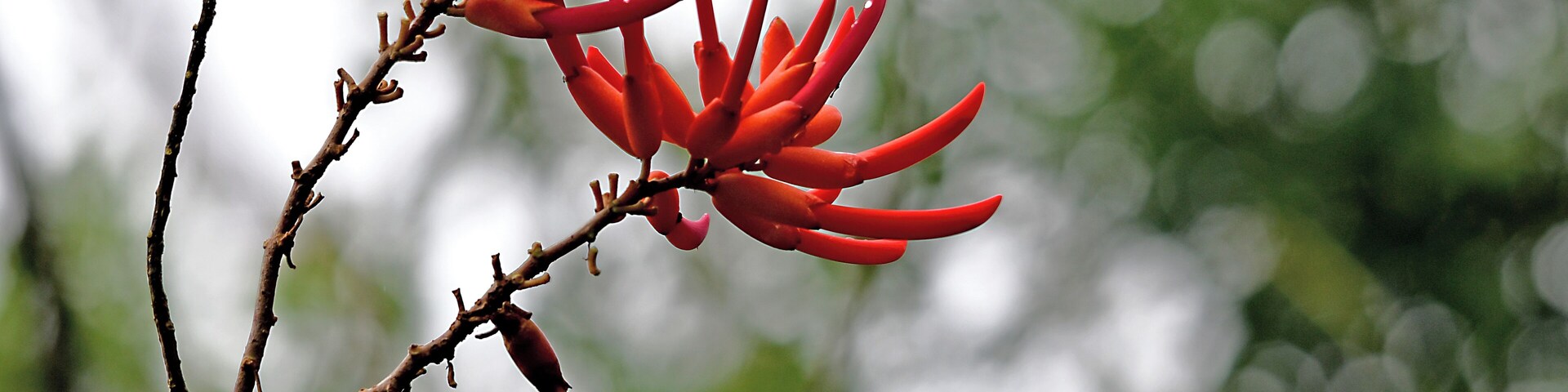 Flora abounds. Hard to take it all in!