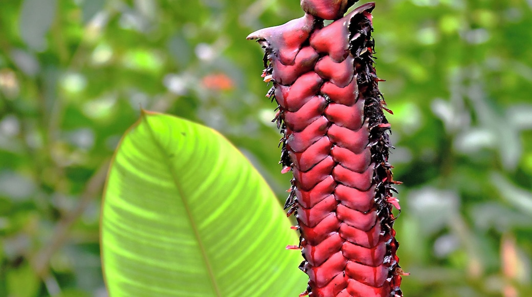 Flora abounds. Hard to take it all in!