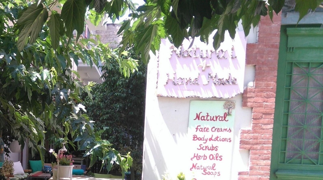 Cafe tucked away in limassol