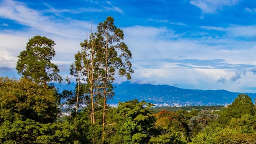 Beautiful mountain landscape city panorama forest trees nature Costa Rica.
