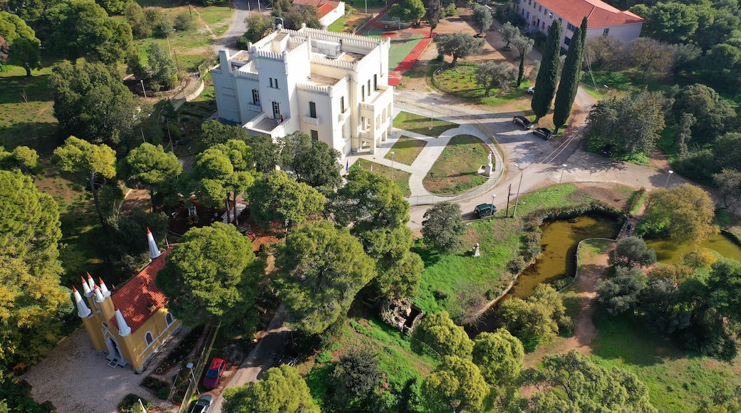 Aerial drone photo of beautiful park of Syggrou with rare trees and beautiful nature, Marousi, North Athens, Greece