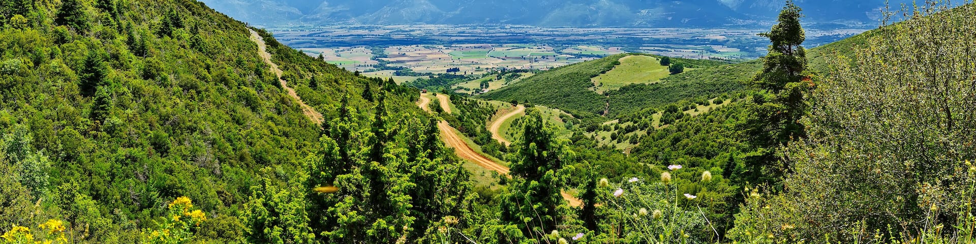 Greece, May. Valley Near Lamia.