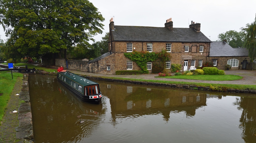A narrowboat on a calm canal, a stone house with a garden, and a large tree in the background.