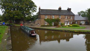 A narrowboat on a calm canal, a stone house with a garden, and a large tree in the background.