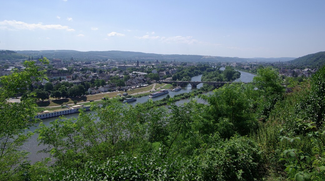 Trier von der Villa Weißhaus