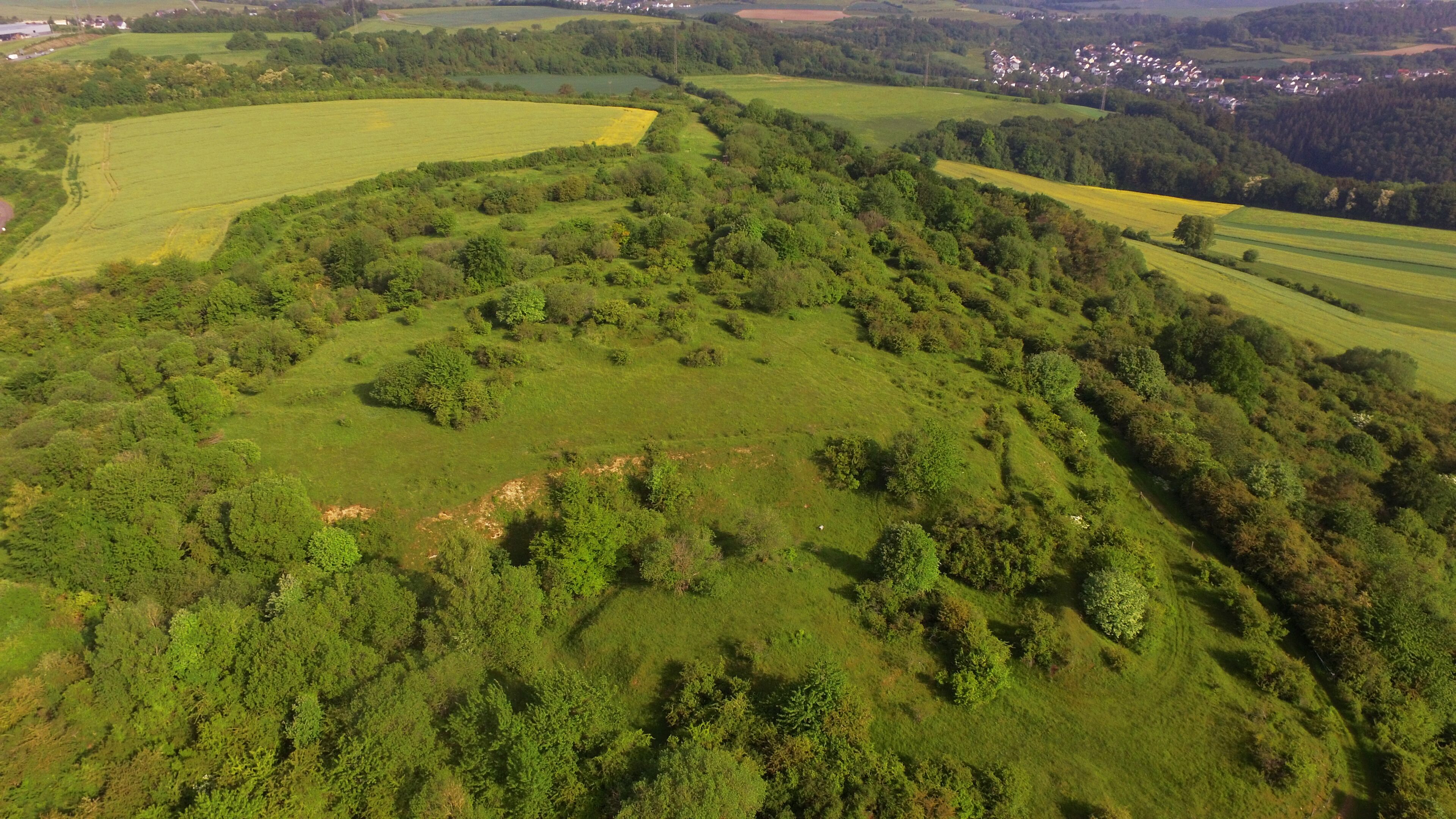 Naturschutzgebiet Kahlenberg am Sievenicherhof - Südöstlicher Teil des Naturschutzgebiets