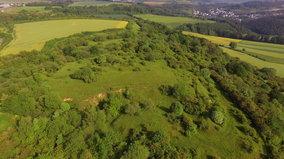 Naturschutzgebiet Kahlenberg am Sievenicherhof - Südöstlicher Teil des Naturschutzgebiets