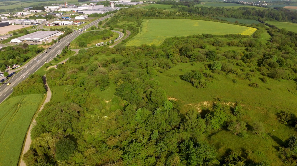 Naturschutzgebiet Kahlenberg am Sievenicherhof - der nördlichste Teil des Naturschutzgebiets (der schmale Streifen rechts und hinter dem Getreidefeld) gehört bereits zur Gemeinde Trierweiler