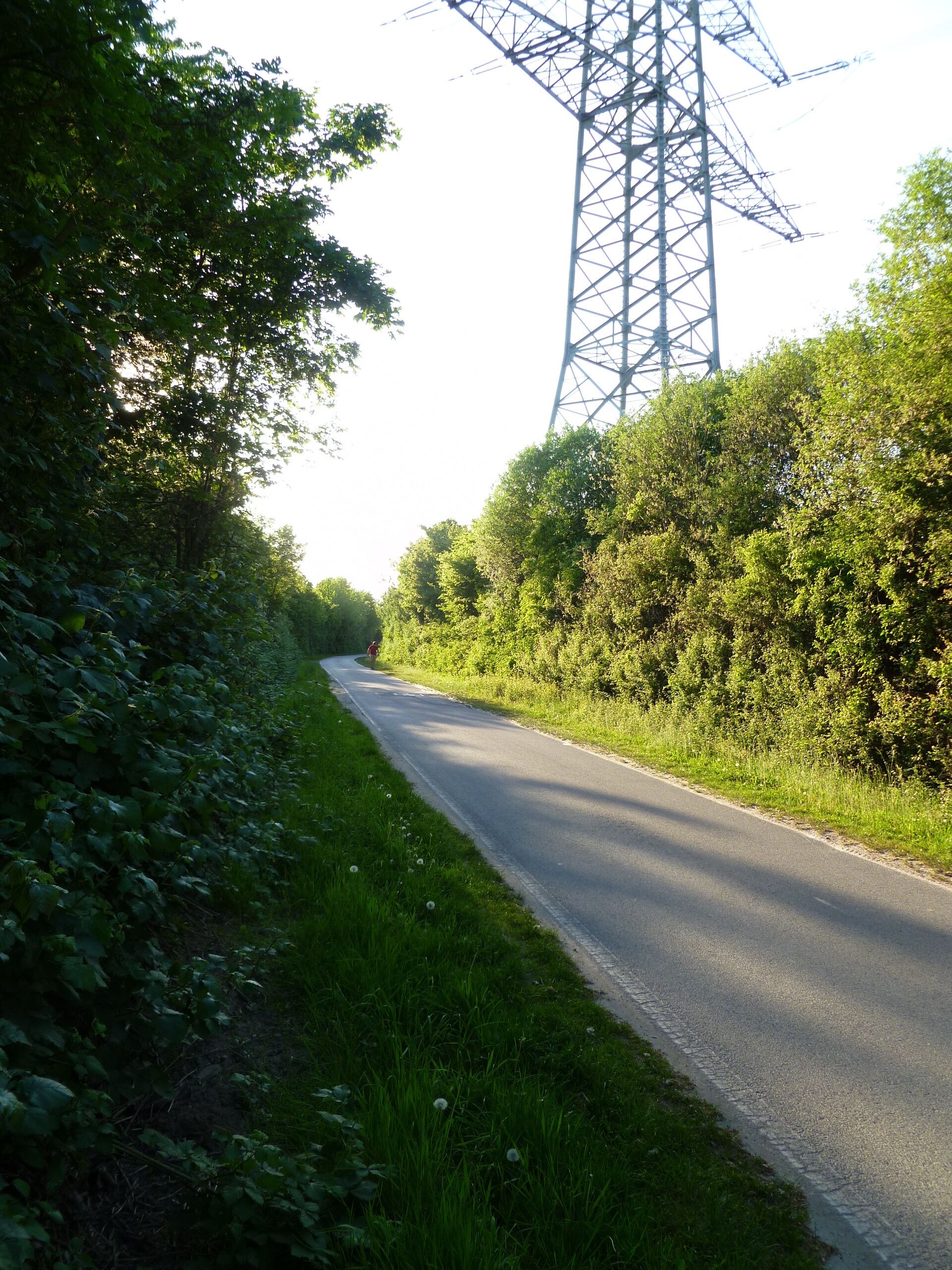 A rural road flanked by dense greenery and a large power line tower.